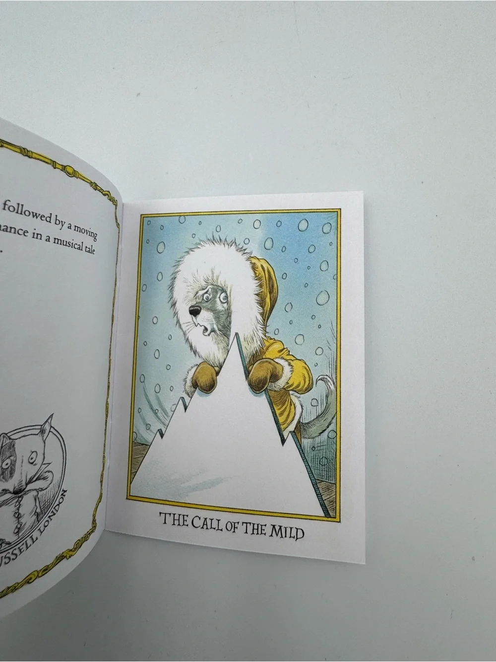 Goth Girl and‎ the Wuthering Fright Chris Riddell HC 2015 Mini Book Complete
